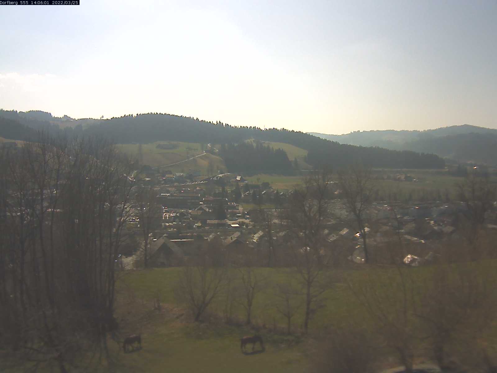 Webcam-Bild: Aussicht vom Dorfberg in Langnau 20220325-140601