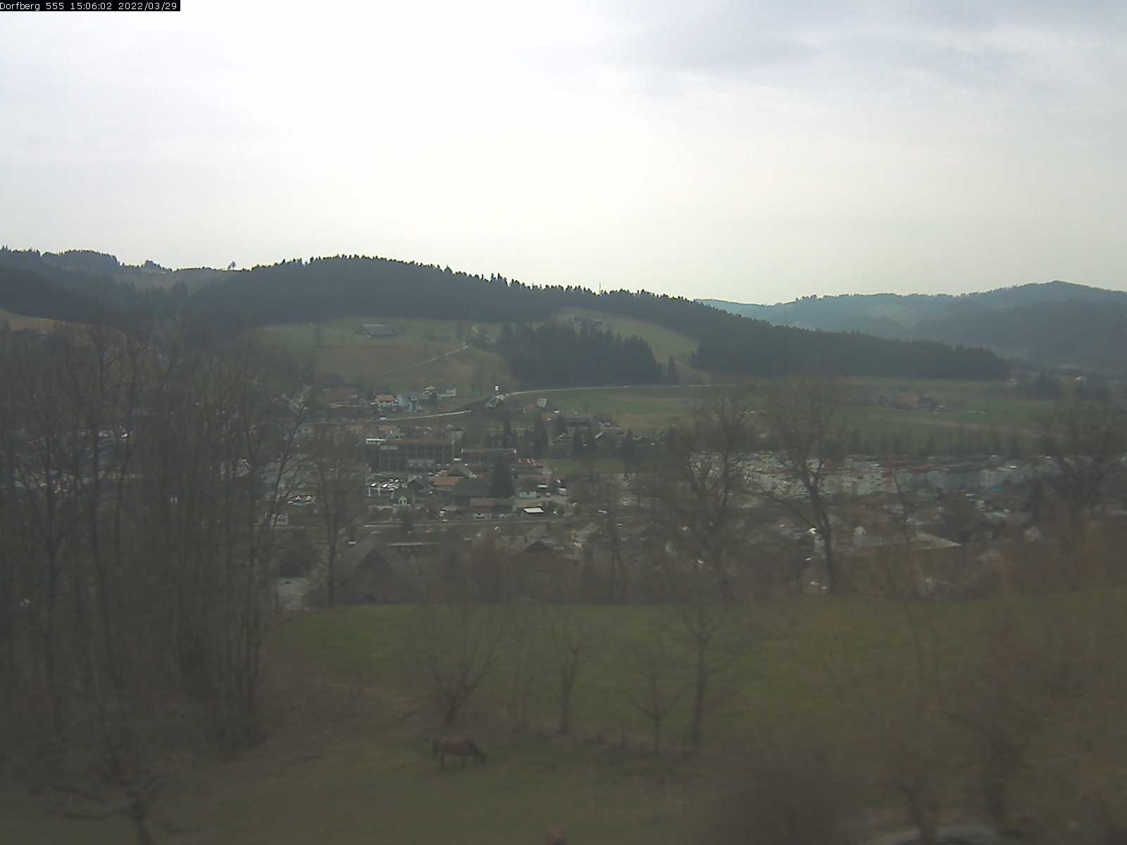 Webcam-Bild: Aussicht vom Dorfberg in Langnau 20220329-150601