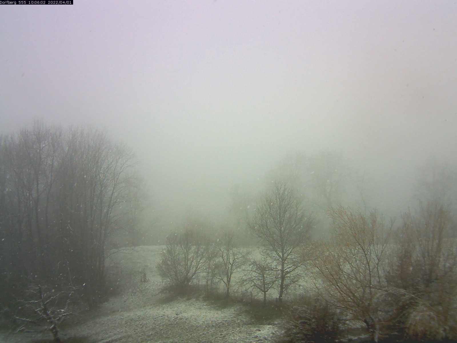 Webcam-Bild: Aussicht vom Dorfberg in Langnau 20220401-100601