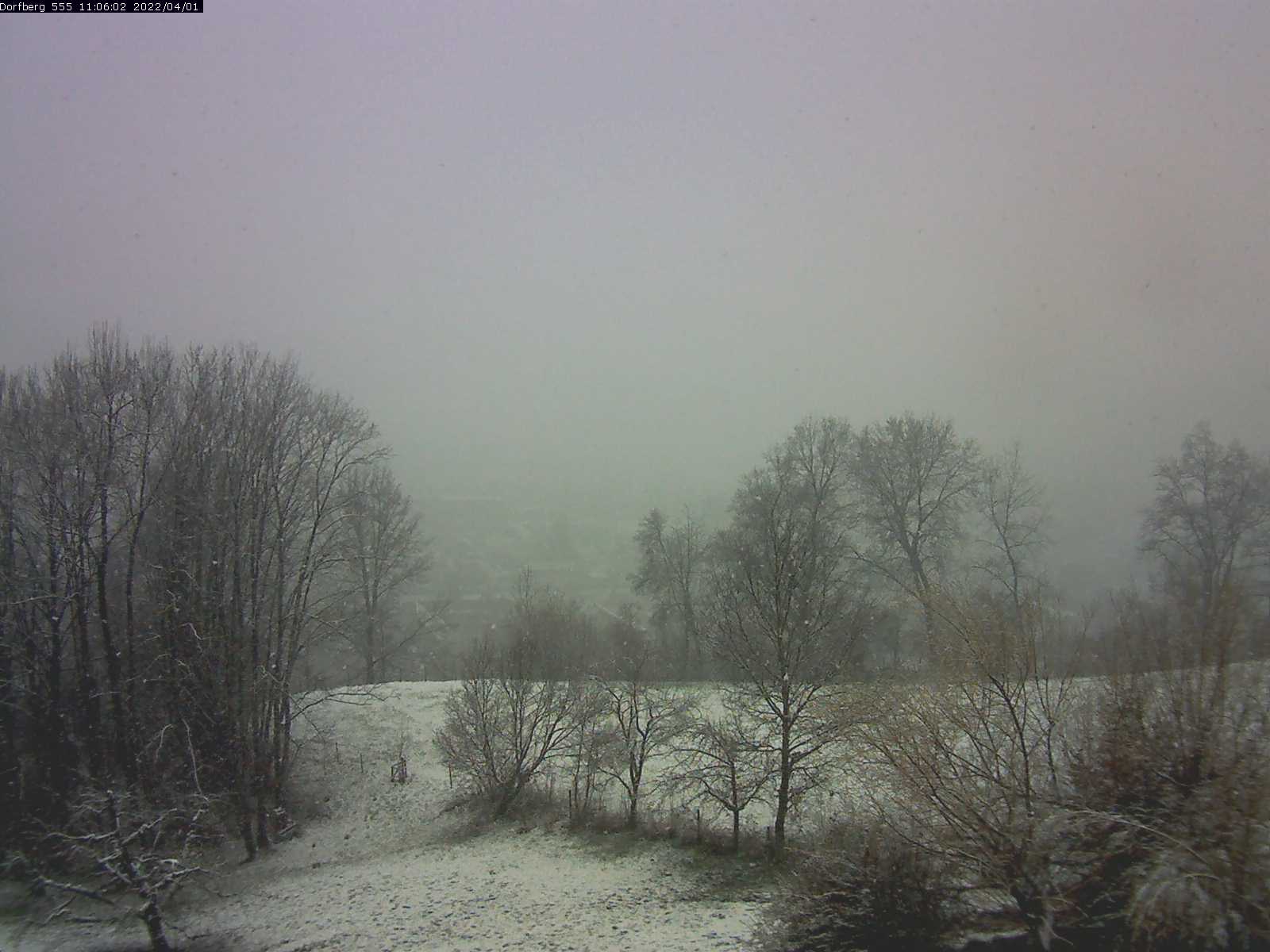 Webcam-Bild: Aussicht vom Dorfberg in Langnau 20220401-110602
