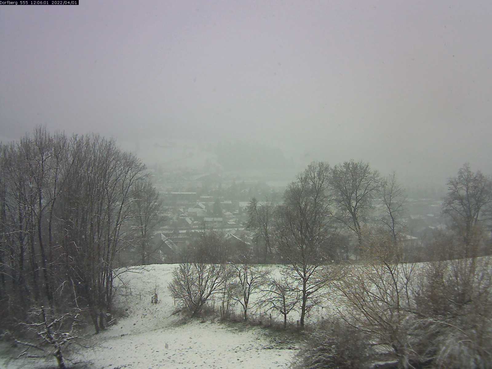 Webcam-Bild: Aussicht vom Dorfberg in Langnau 20220401-120601