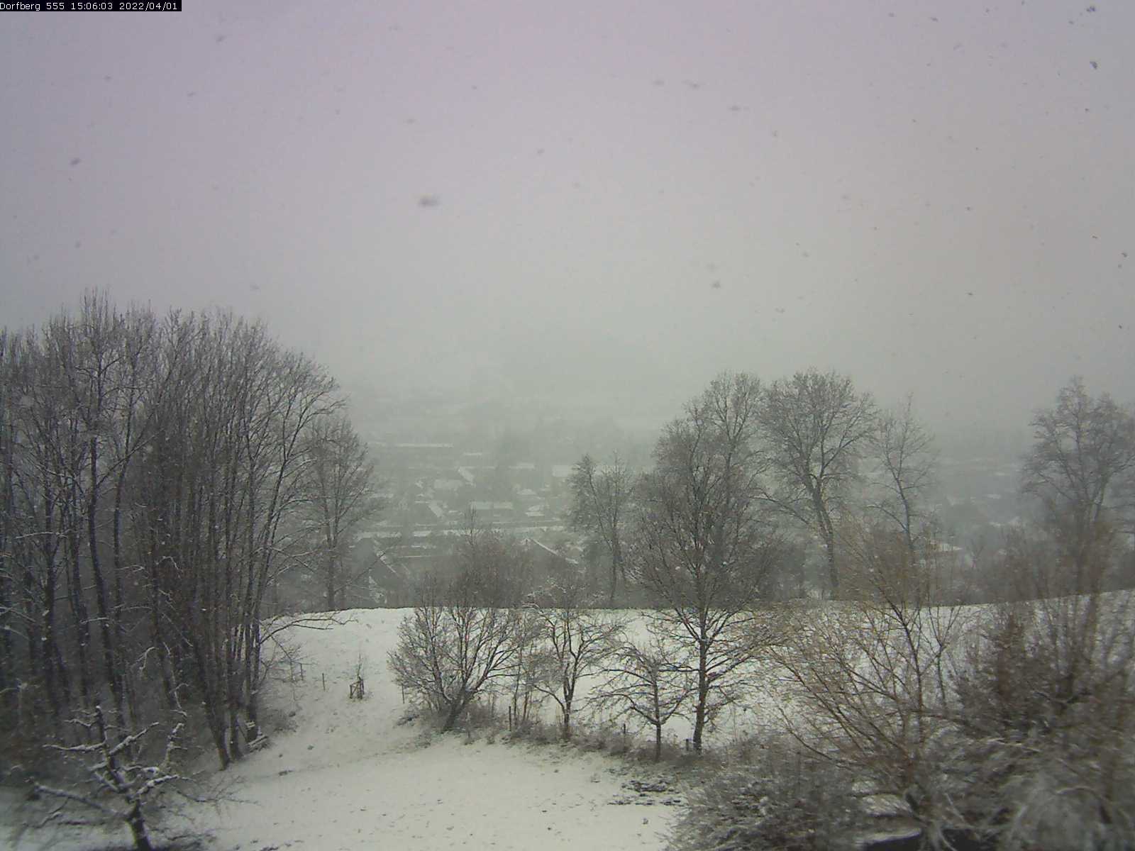 Webcam-Bild: Aussicht vom Dorfberg in Langnau 20220401-150601