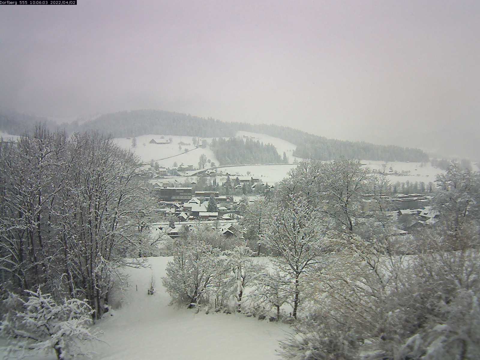 Webcam-Bild: Aussicht vom Dorfberg in Langnau 20220402-100601