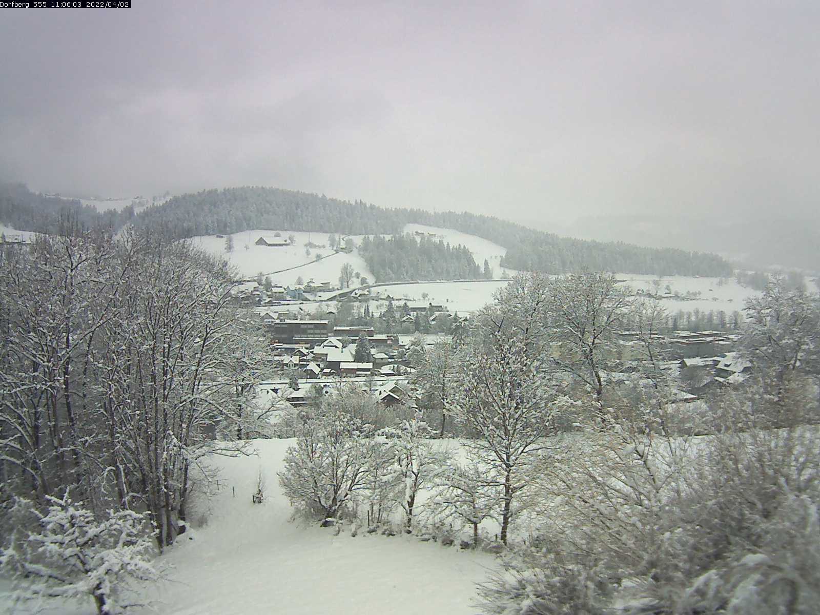 Webcam-Bild: Aussicht vom Dorfberg in Langnau 20220402-110601