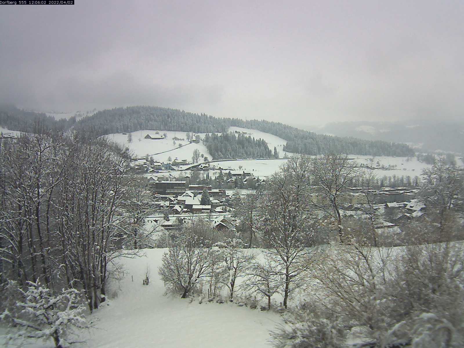 Webcam-Bild: Aussicht vom Dorfberg in Langnau 20220402-120601
