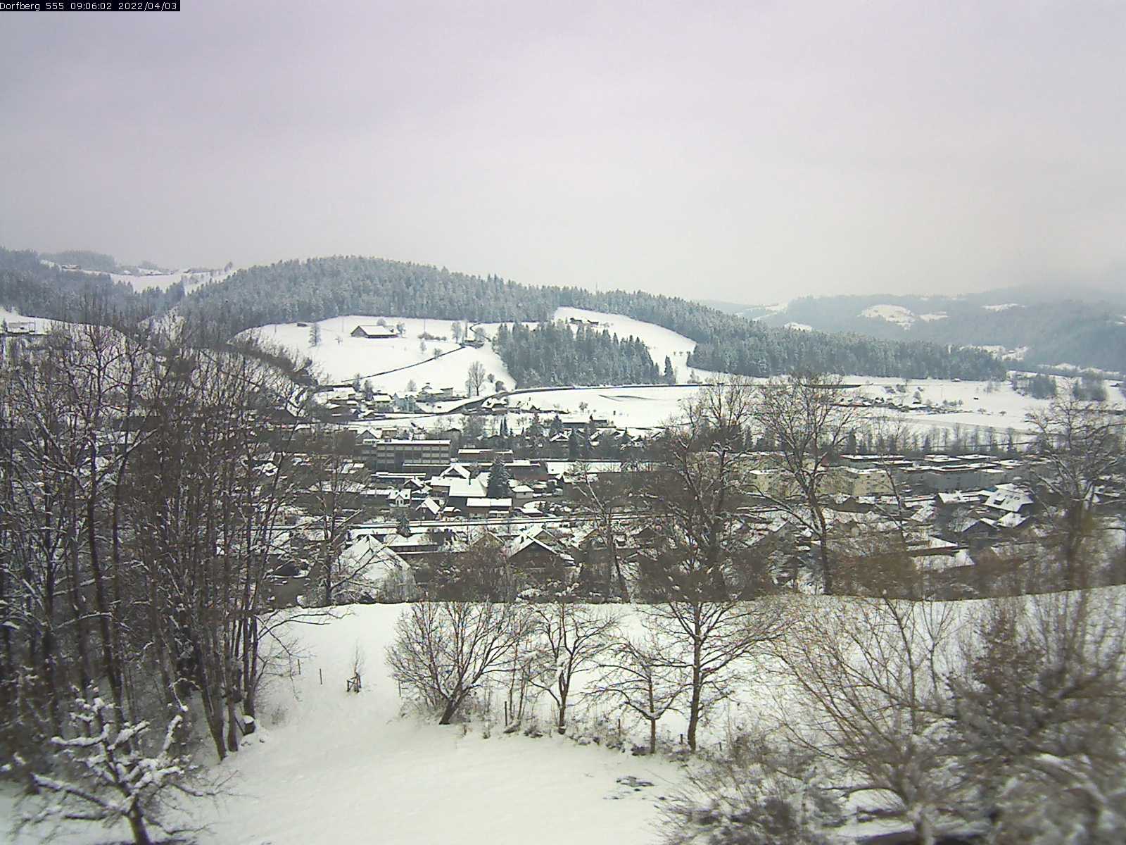 Webcam-Bild: Aussicht vom Dorfberg in Langnau 20220403-090601