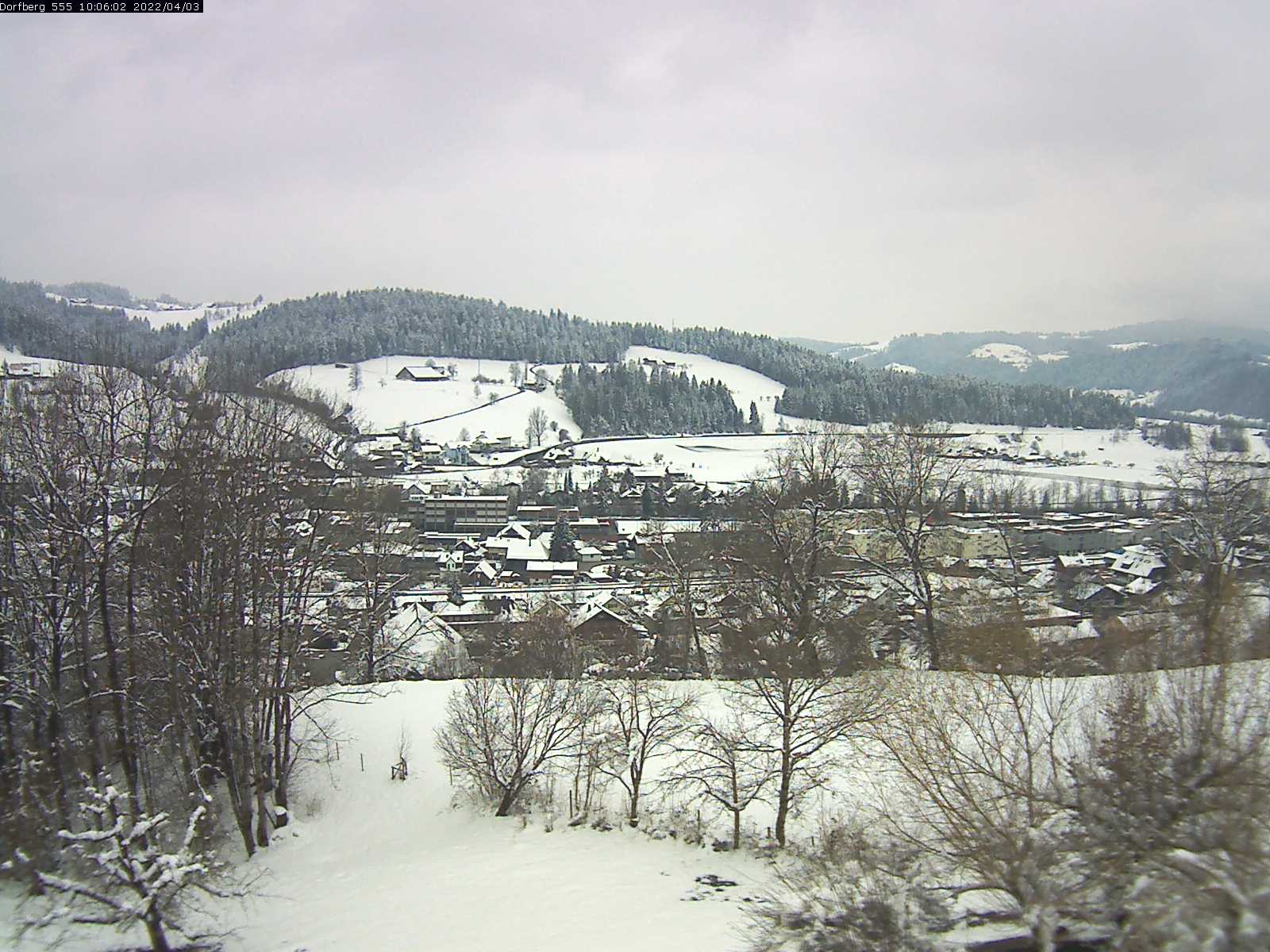 Webcam-Bild: Aussicht vom Dorfberg in Langnau 20220403-100601