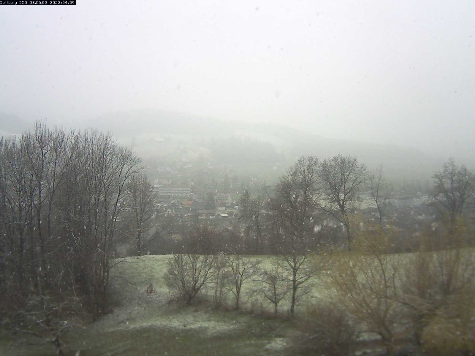 Webcam-Bild: Aussicht vom Dorfberg in Langnau 20220409-080601