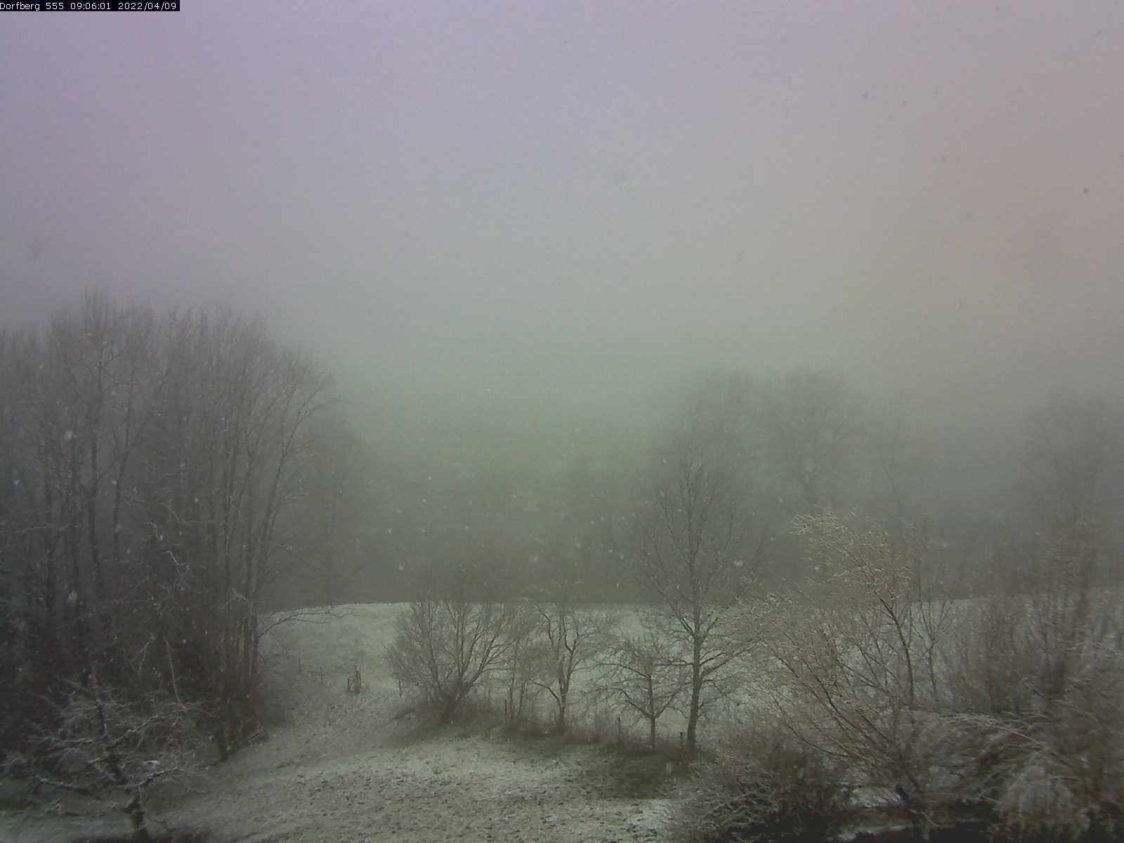 Webcam-Bild: Aussicht vom Dorfberg in Langnau 20220409-090601