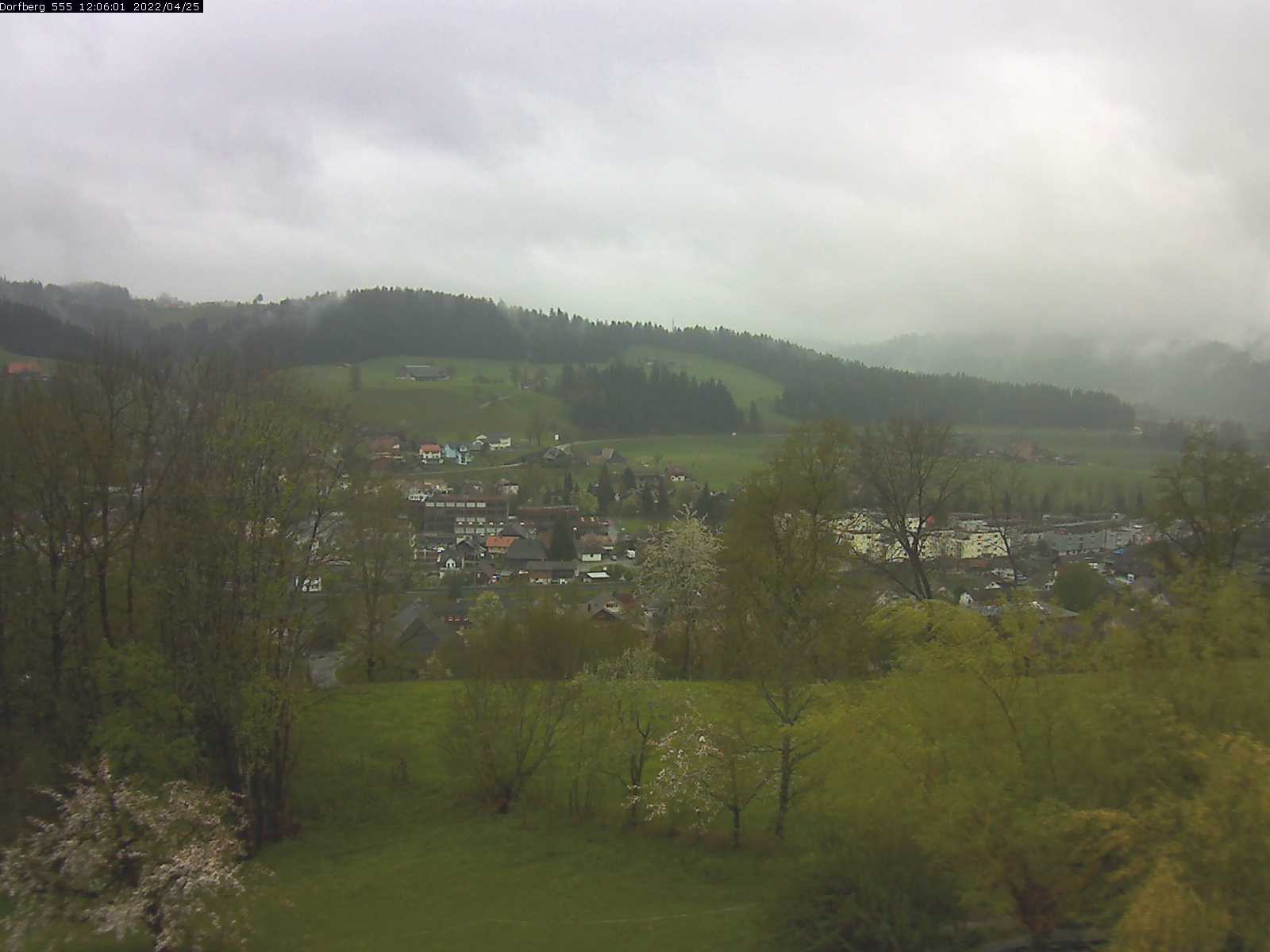 Webcam-Bild: Aussicht vom Dorfberg in Langnau 20220425-120601