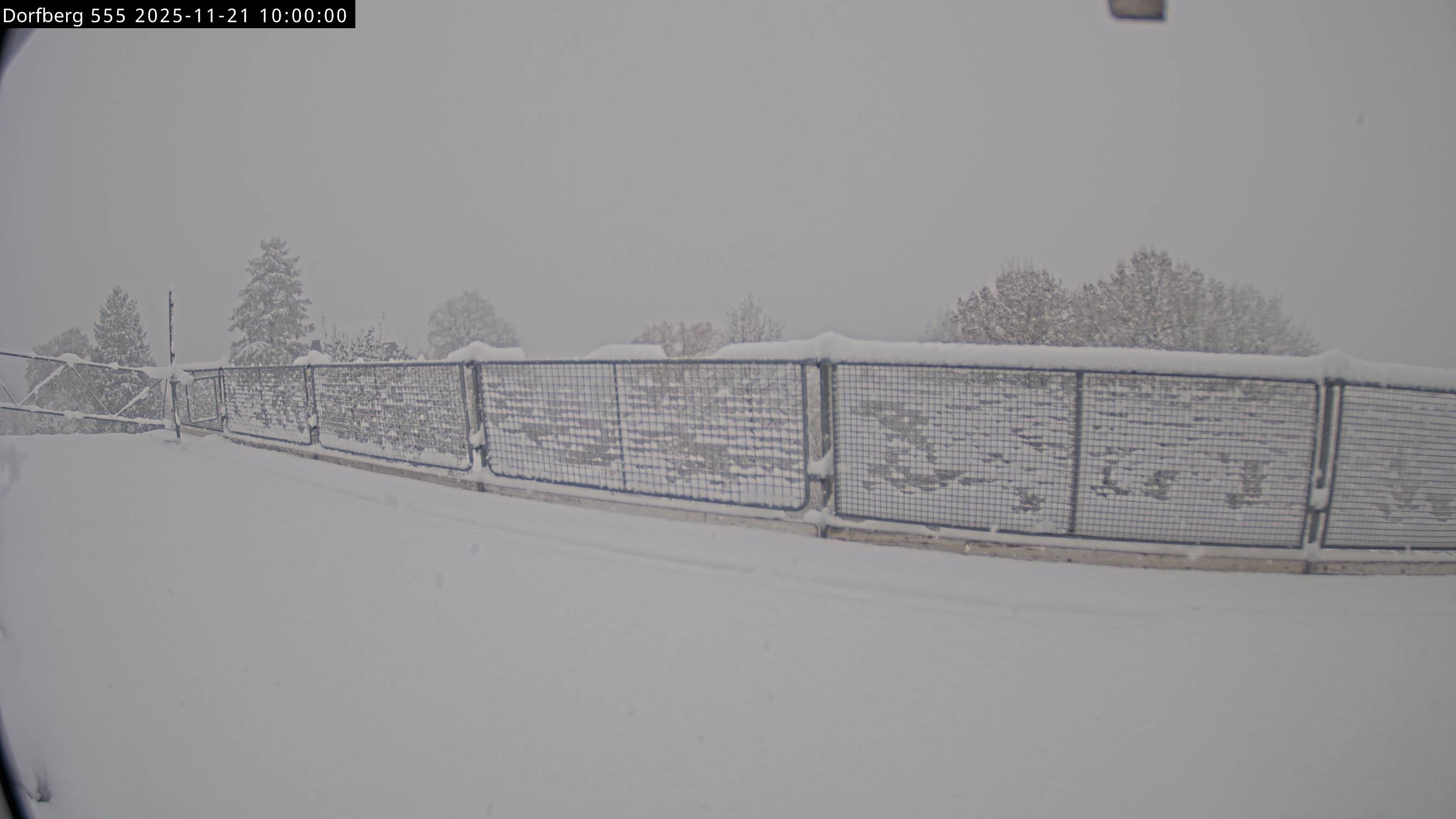 Webcam-Bild: Aussicht vom Dorfberg in Langnau 20251121-100000