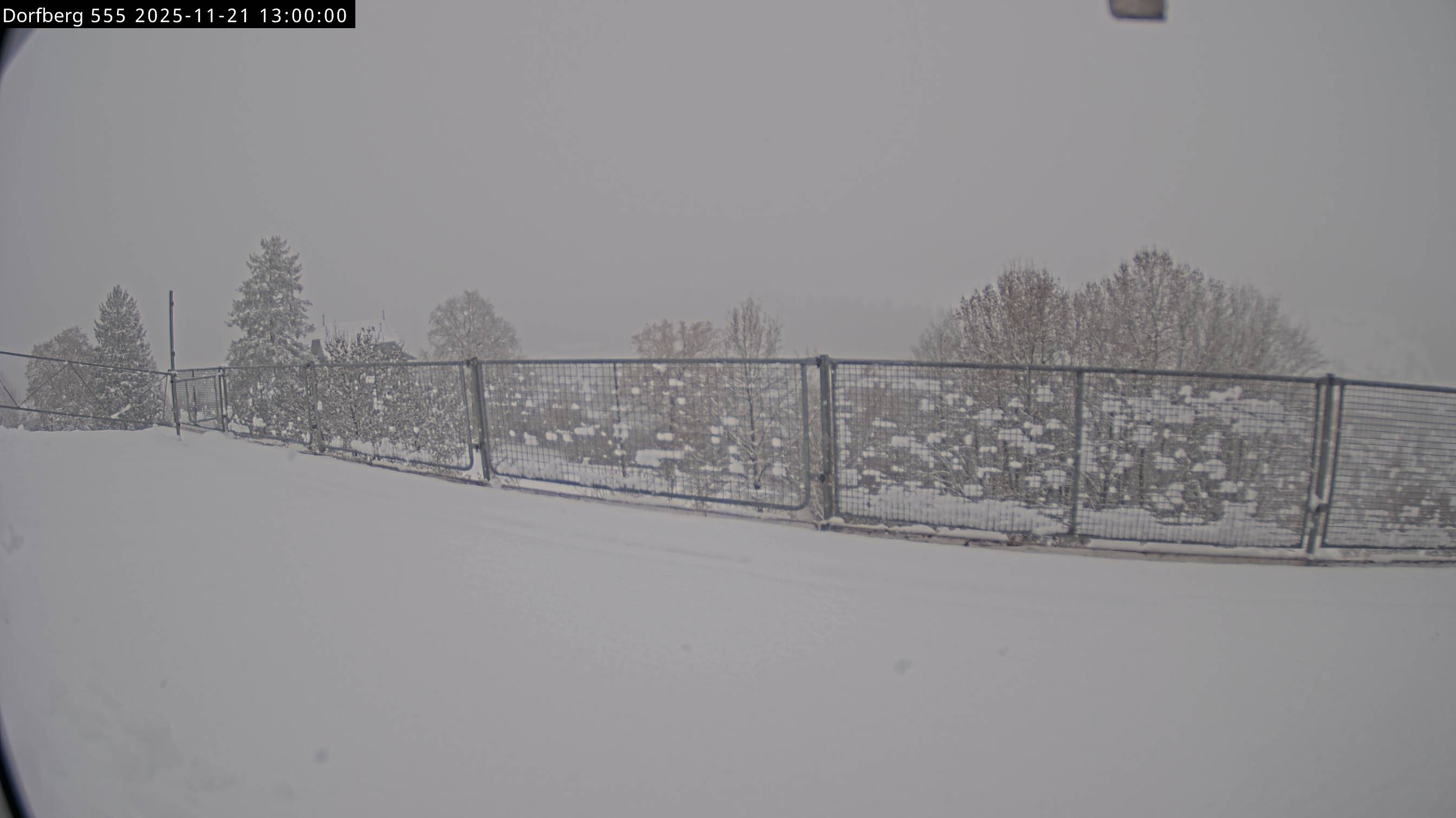 Webcam-Bild: Aussicht vom Dorfberg in Langnau 20251121-130000