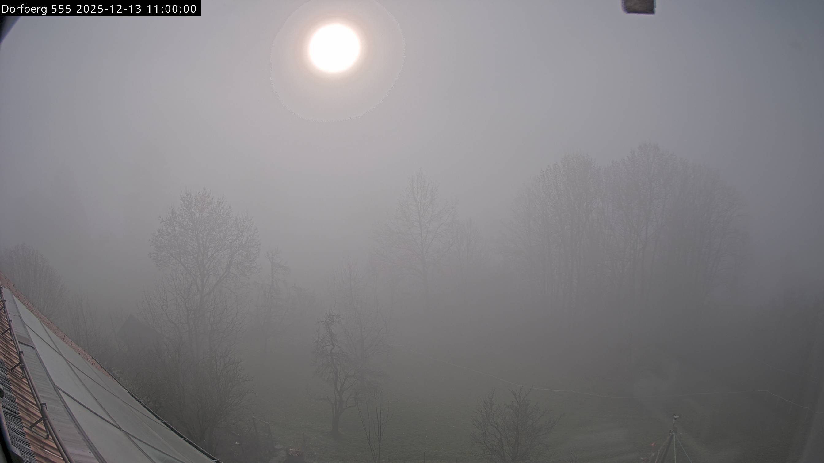 Webcam-Bild: Aussicht vom Dorfberg in Langnau 20251213-110000