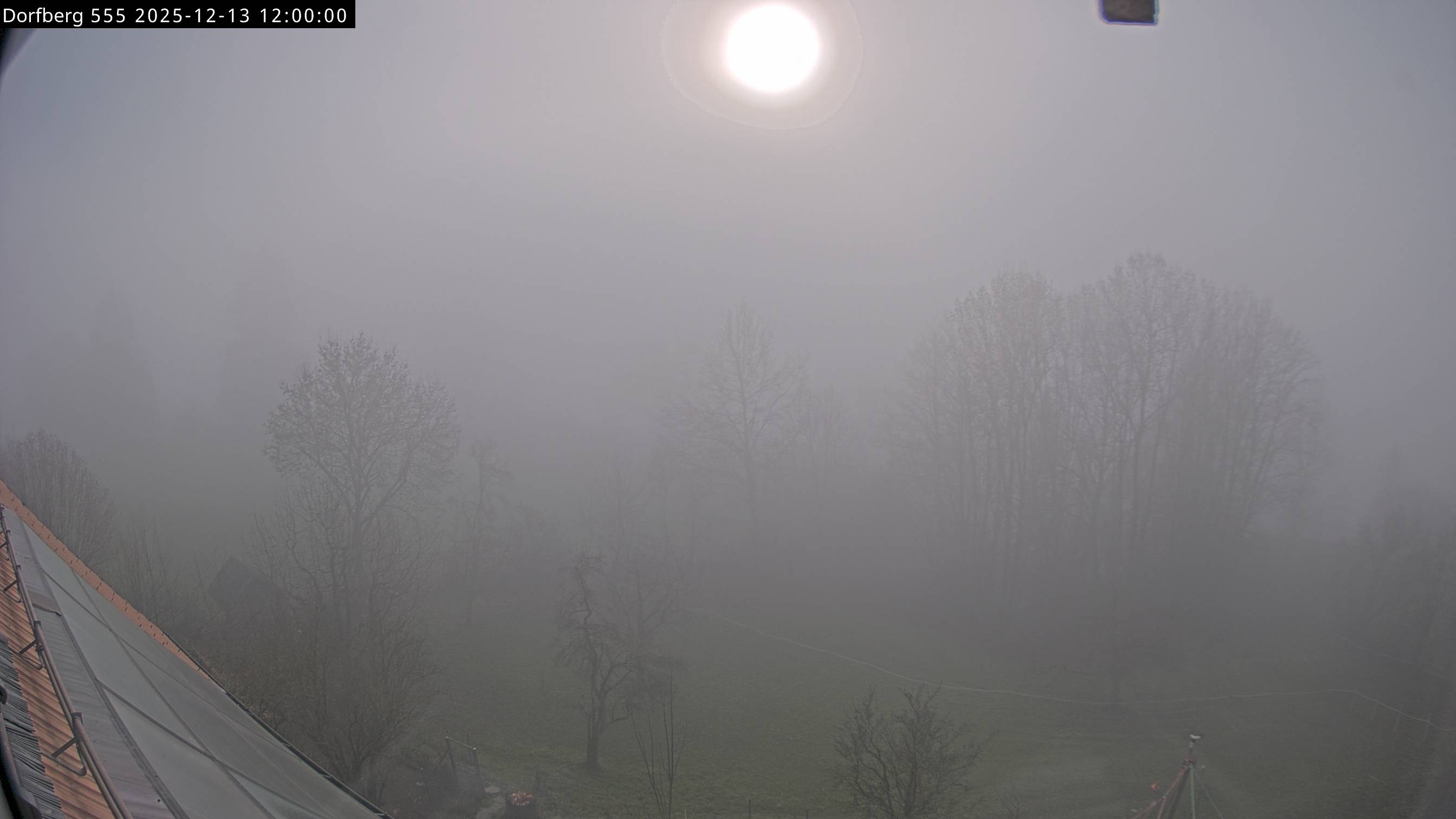 Webcam-Bild: Aussicht vom Dorfberg in Langnau 20251213-120000