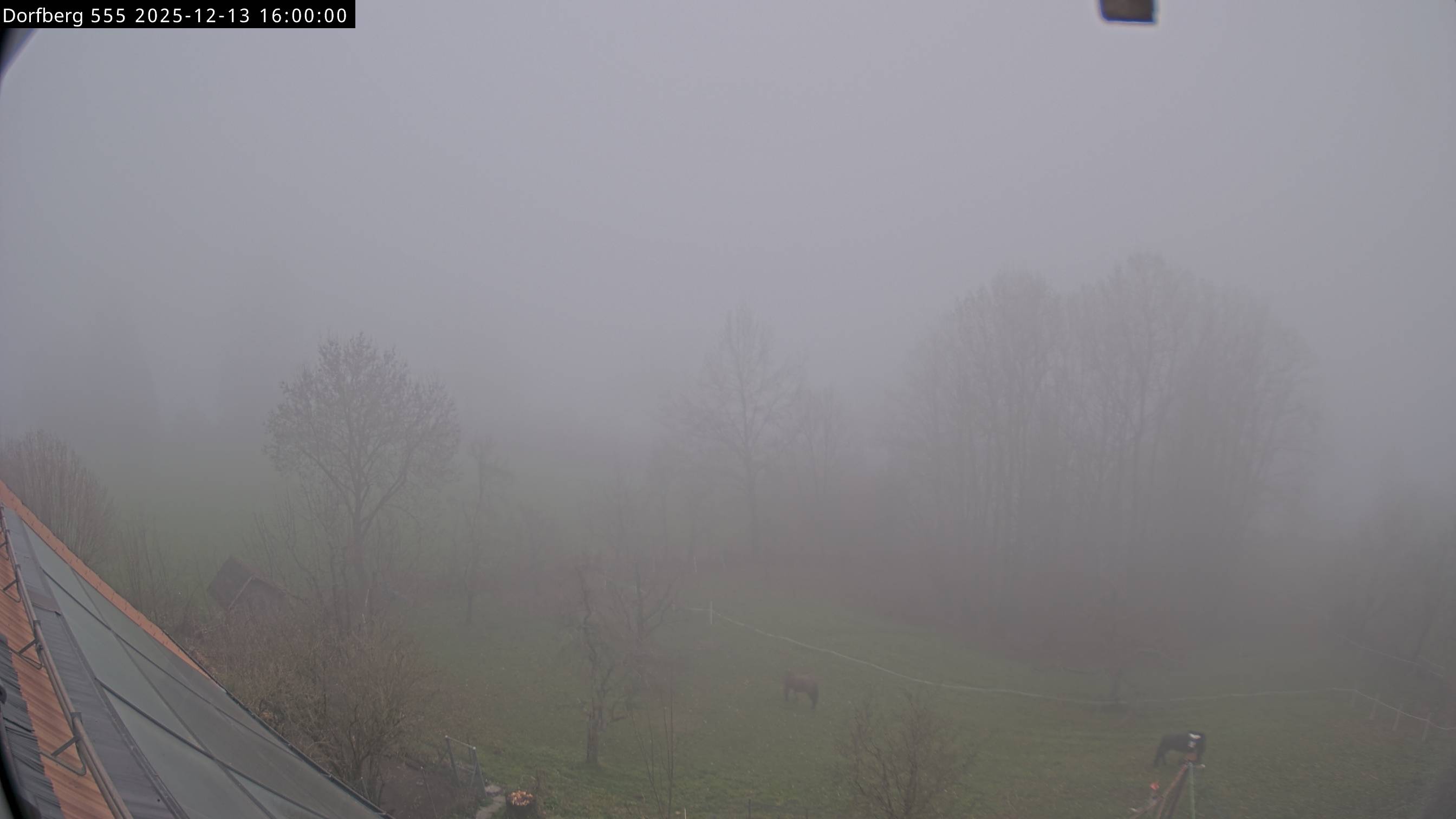 Webcam-Bild: Aussicht vom Dorfberg in Langnau 20251213-160000