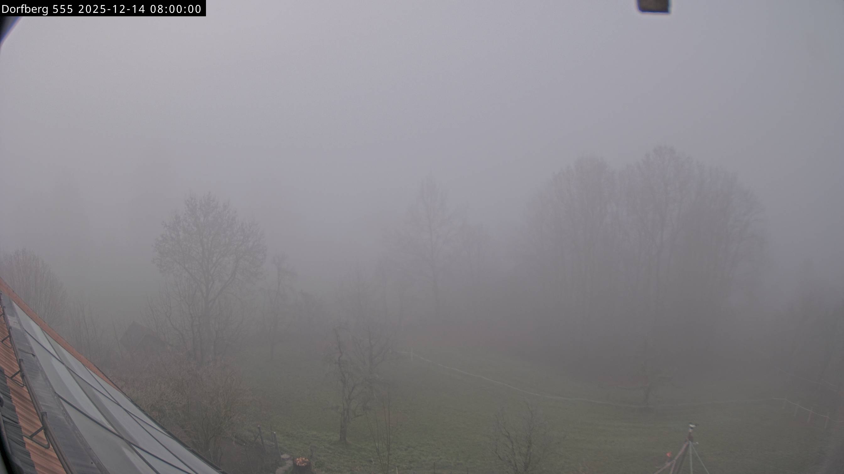 Webcam-Bild: Aussicht vom Dorfberg in Langnau 20251214-080000