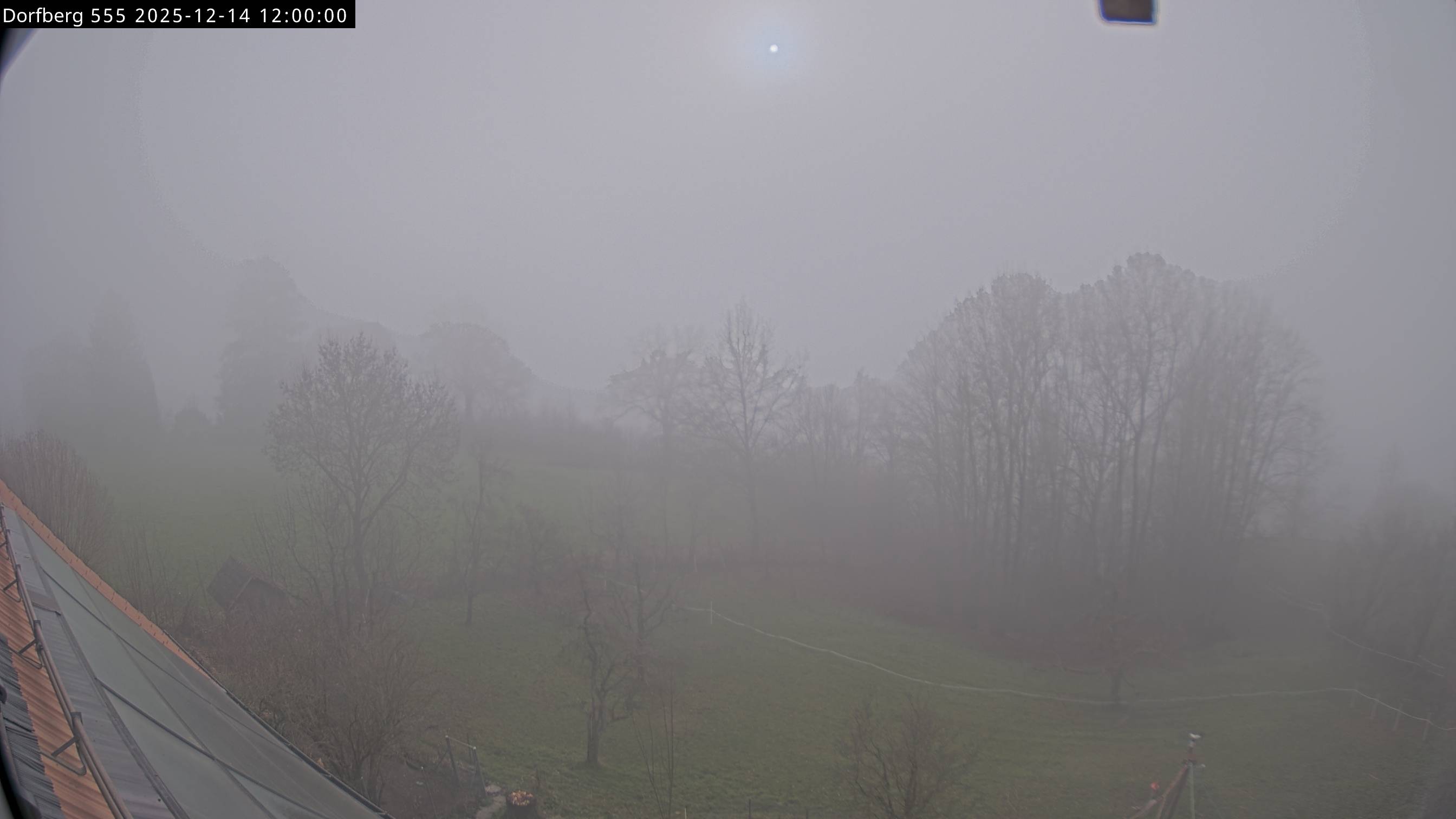 Webcam-Bild: Aussicht vom Dorfberg in Langnau 20251214-120000