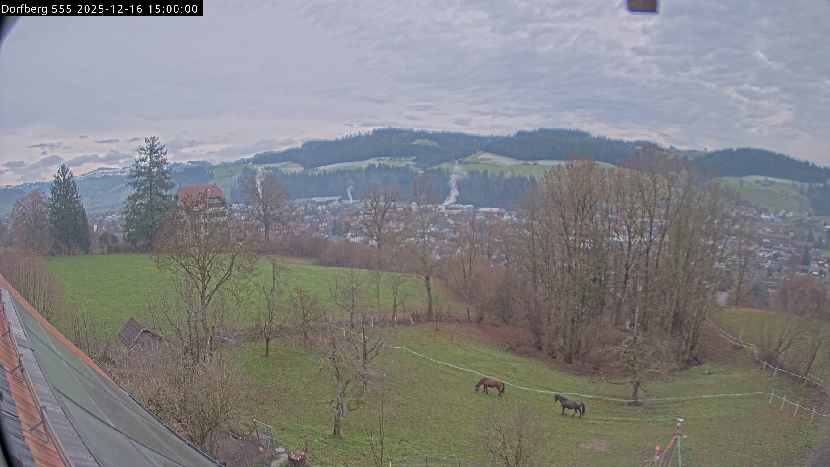 Webcam-Bild: Aussicht vom Dorfberg in Langnau 20251216-150000