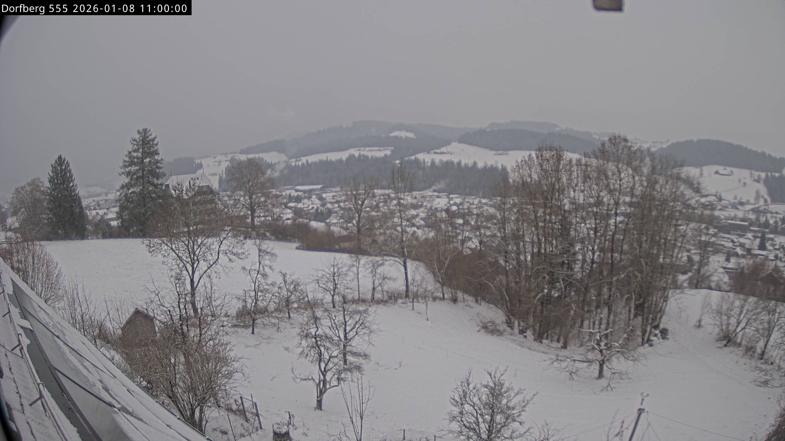 Webcam-Bild: Aussicht vom Dorfberg in Langnau 20260108-110000