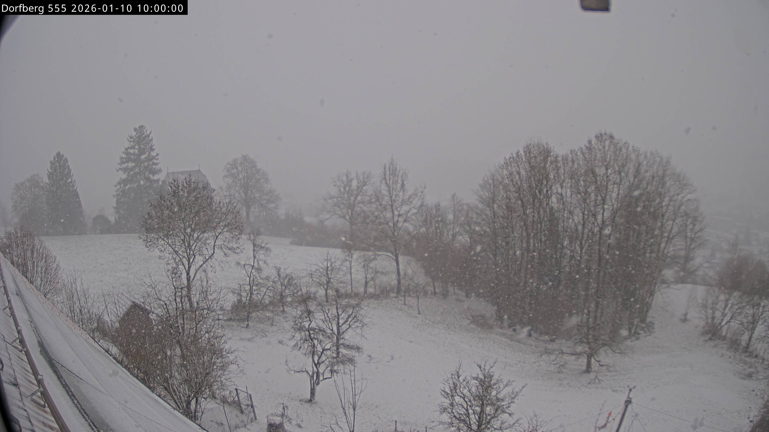 Webcam-Bild: Aussicht vom Dorfberg in Langnau 20260110-100000