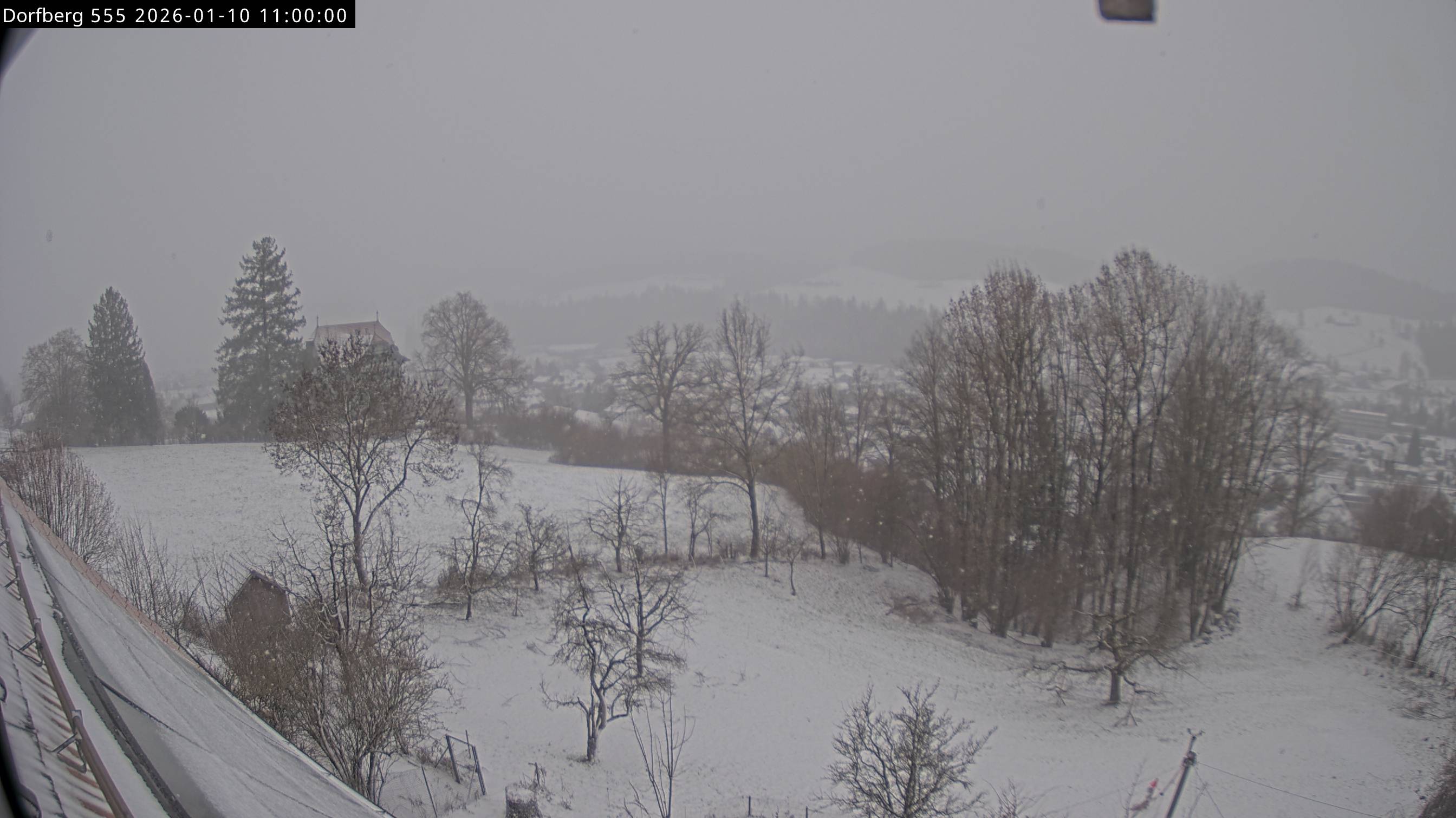 Webcam-Bild: Aussicht vom Dorfberg in Langnau 20260110-110000