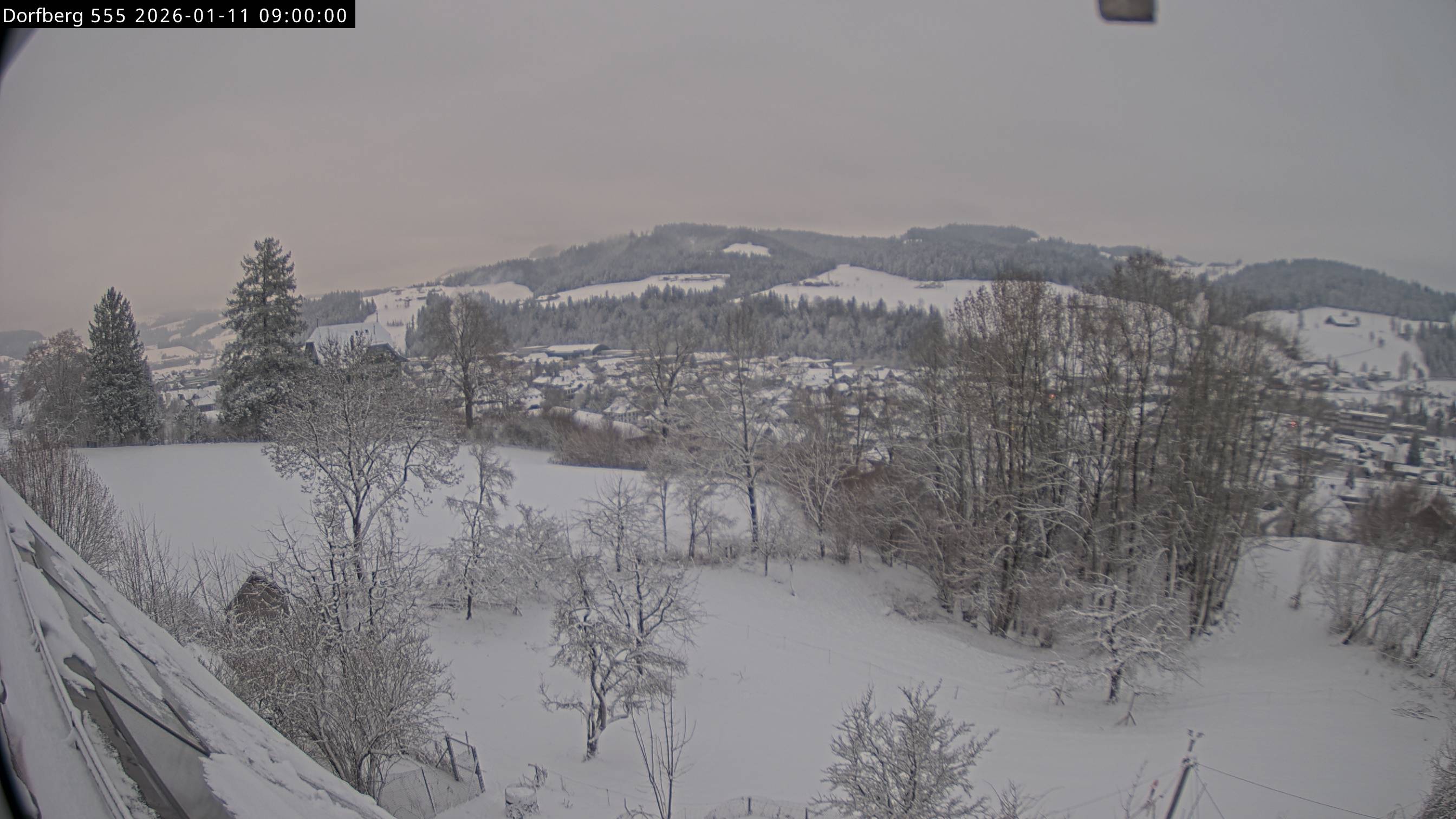 Webcam-Bild: Aussicht vom Dorfberg in Langnau 20260111-090000