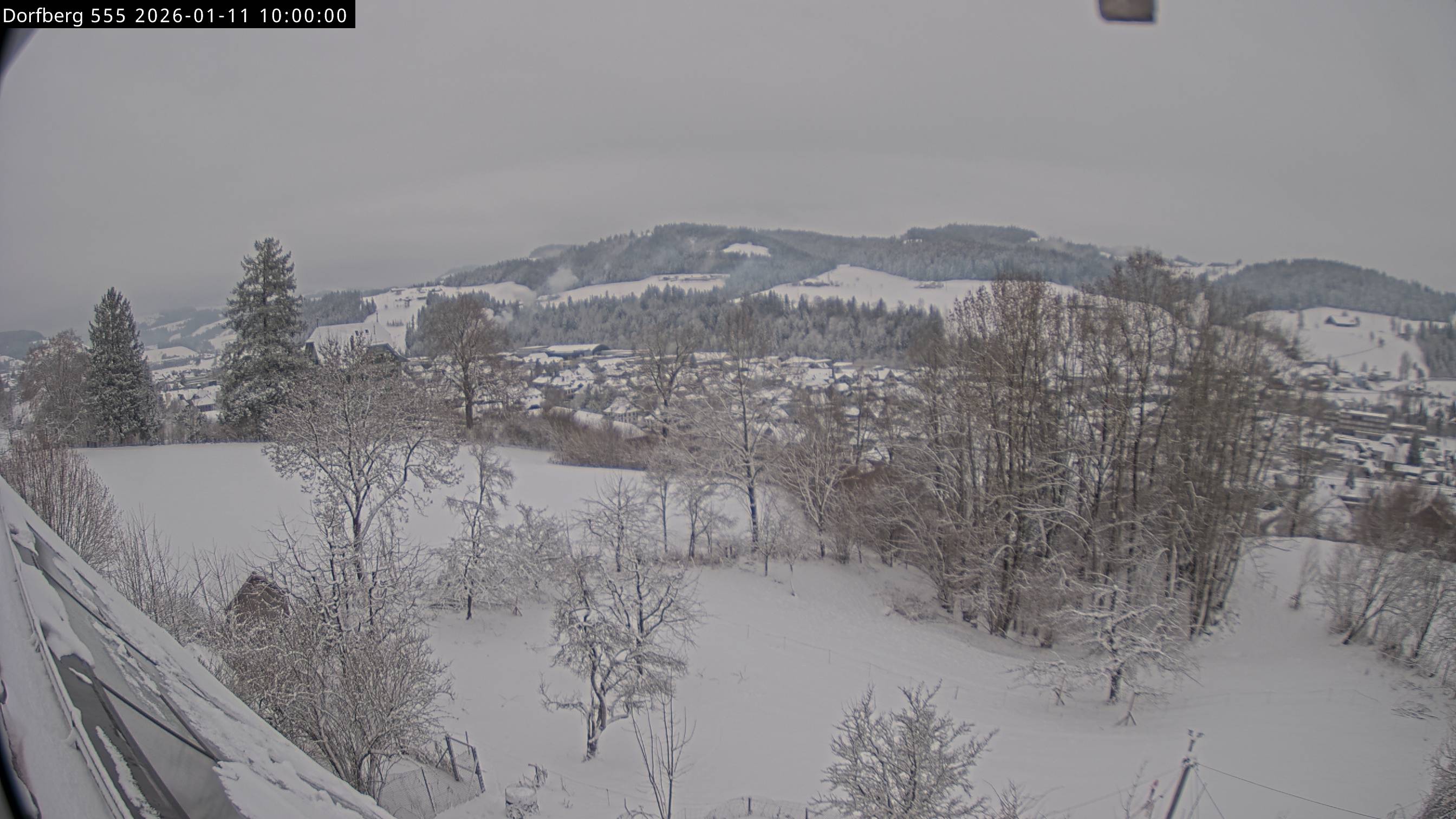 Webcam-Bild: Aussicht vom Dorfberg in Langnau 20260111-100000
