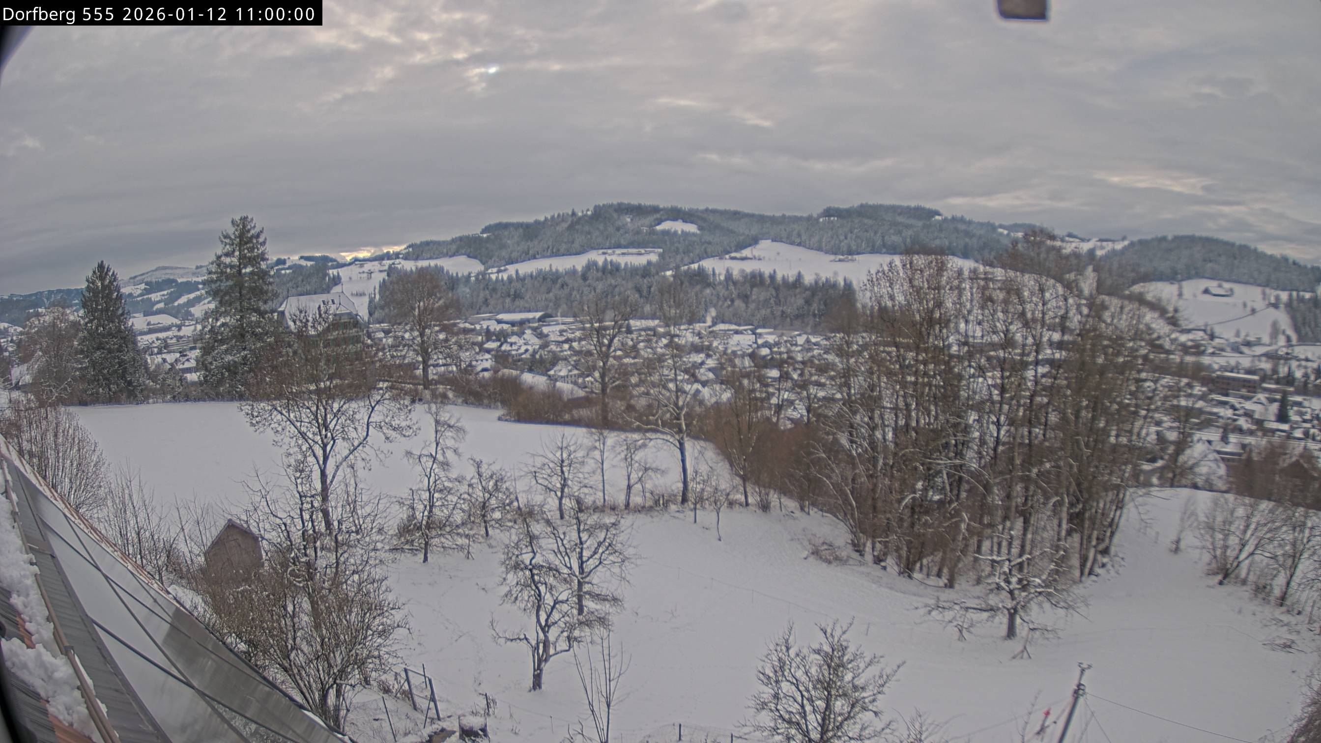 Webcam-Bild: Aussicht vom Dorfberg in Langnau 20260112-110000
