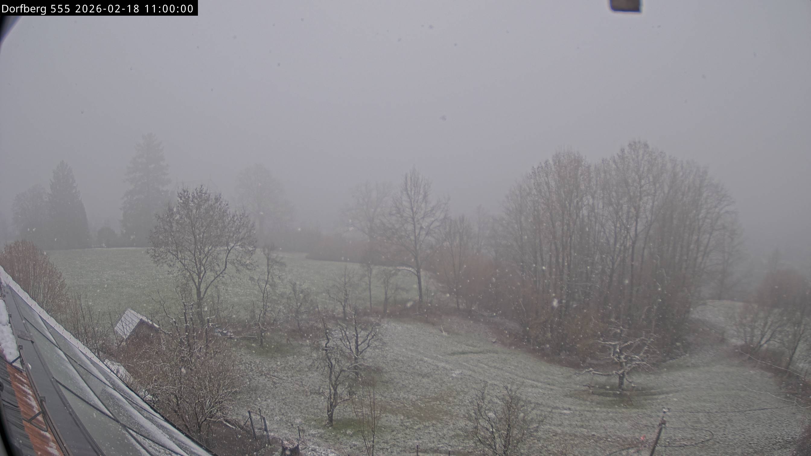 Webcam-Bild: Aussicht vom Dorfberg in Langnau 20260218-110000