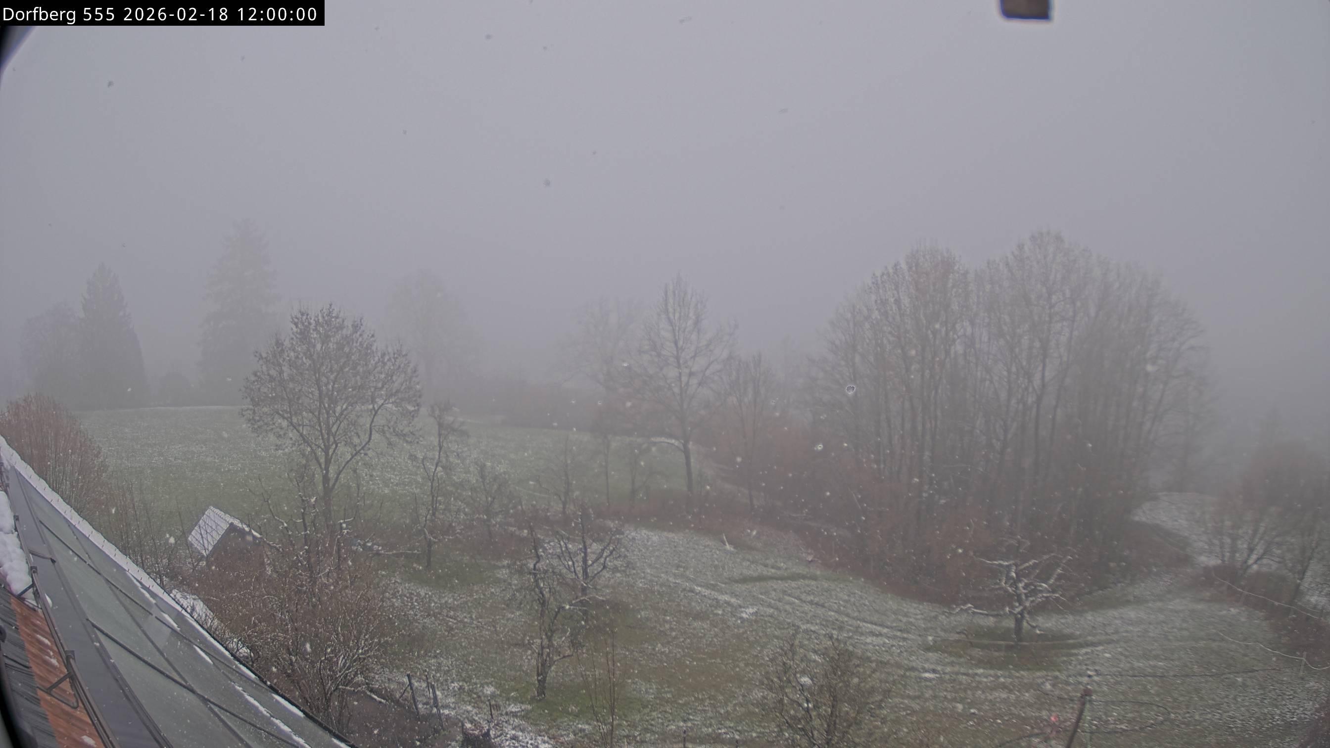 Webcam-Bild: Aussicht vom Dorfberg in Langnau 20260218-120000