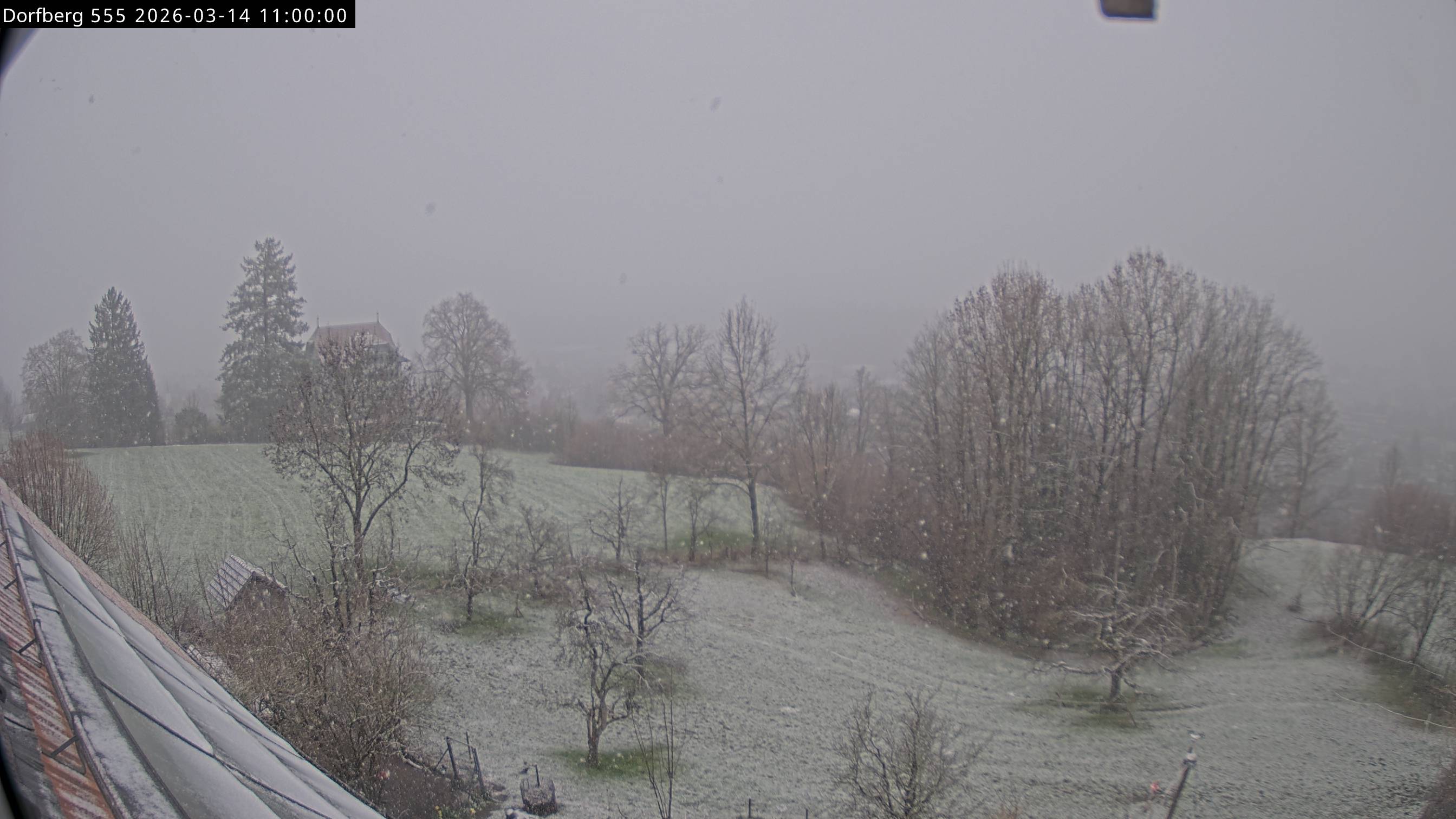 Webcam-Bild: Aussicht vom Dorfberg in Langnau 20260314-110000