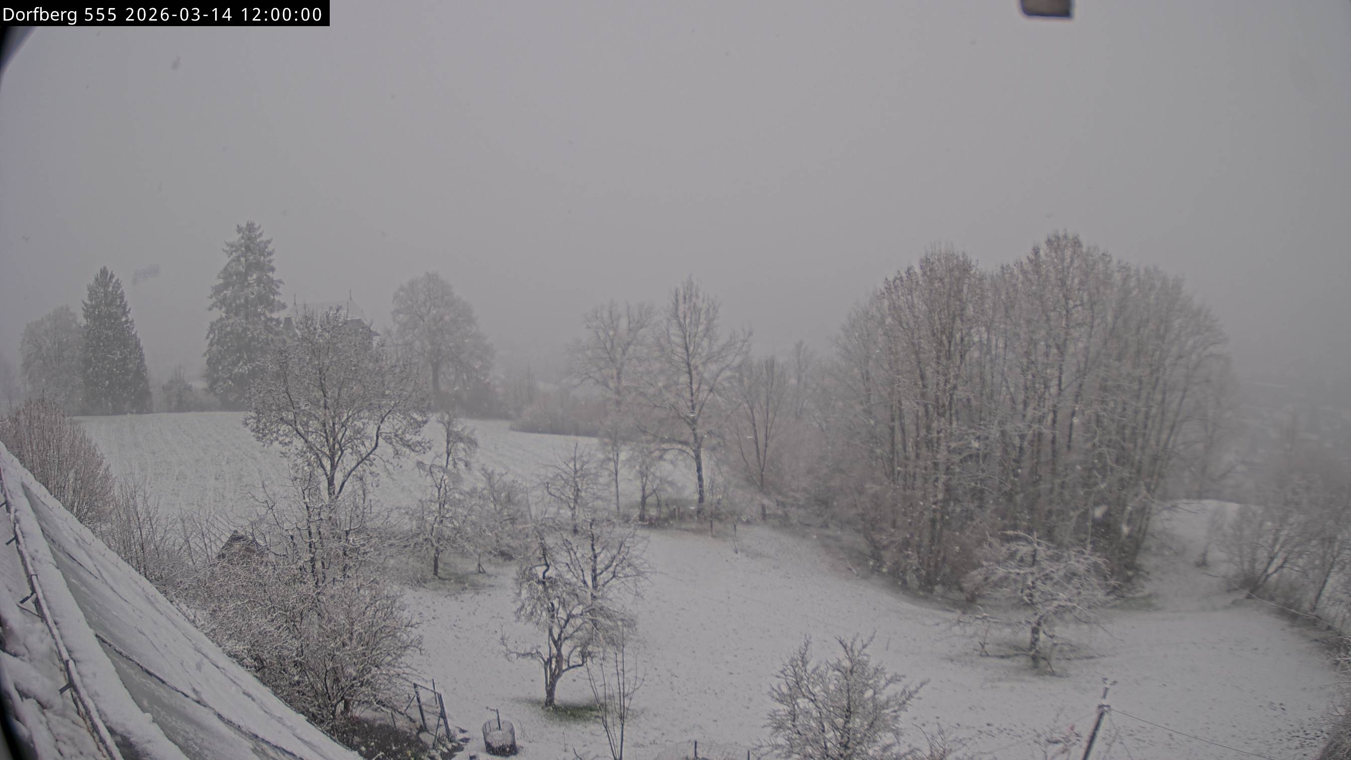 Webcam-Bild: Aussicht vom Dorfberg in Langnau 20260314-120000