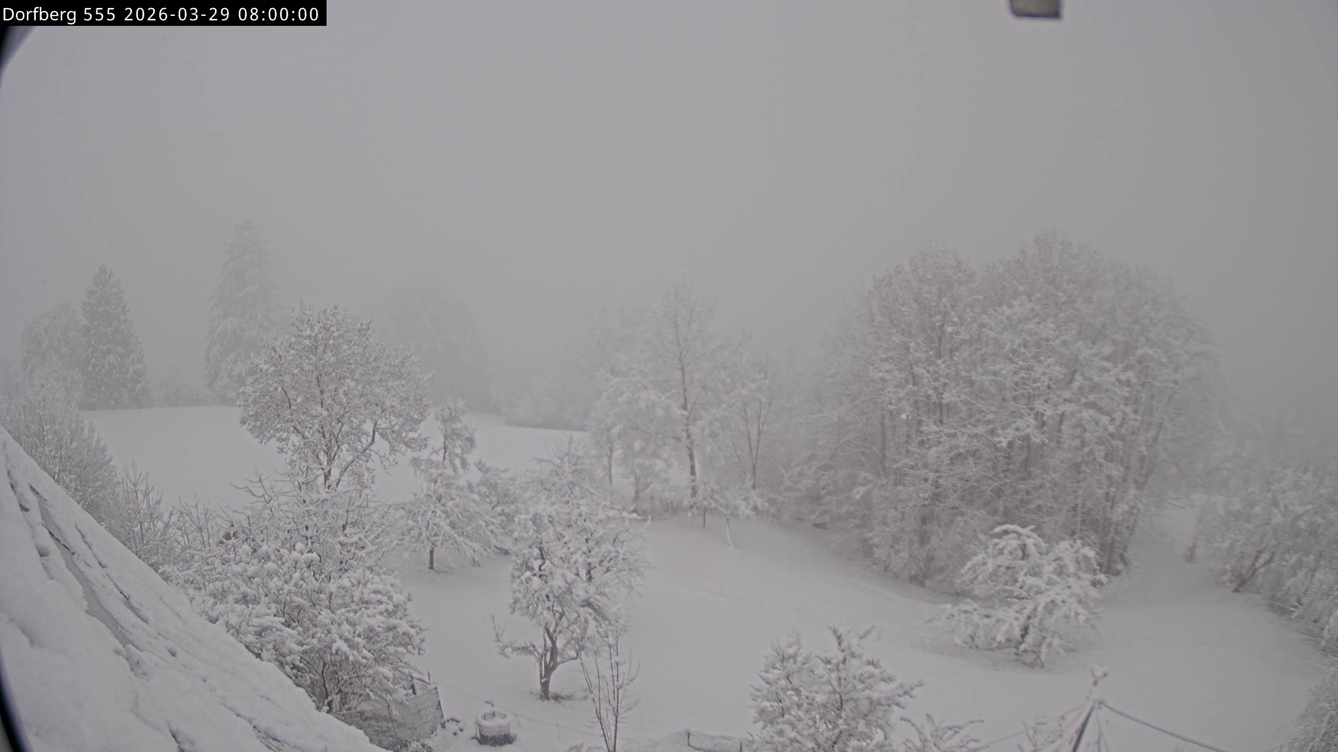 Webcam-Bild: Aussicht vom Dorfberg in Langnau 20260329-080000