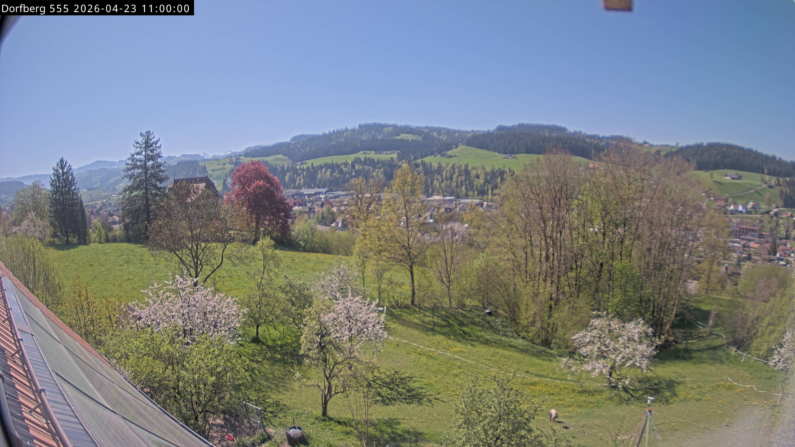 Webcam-Bild: Aussicht vom Dorfberg in Langnau 20260423-110000