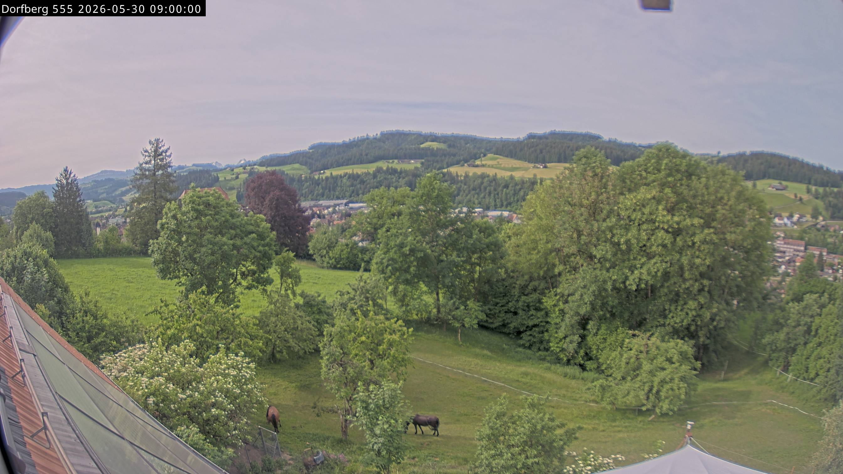 Webcam-Bild: Aussicht vom Dorfberg in Langnau 20260530-090000