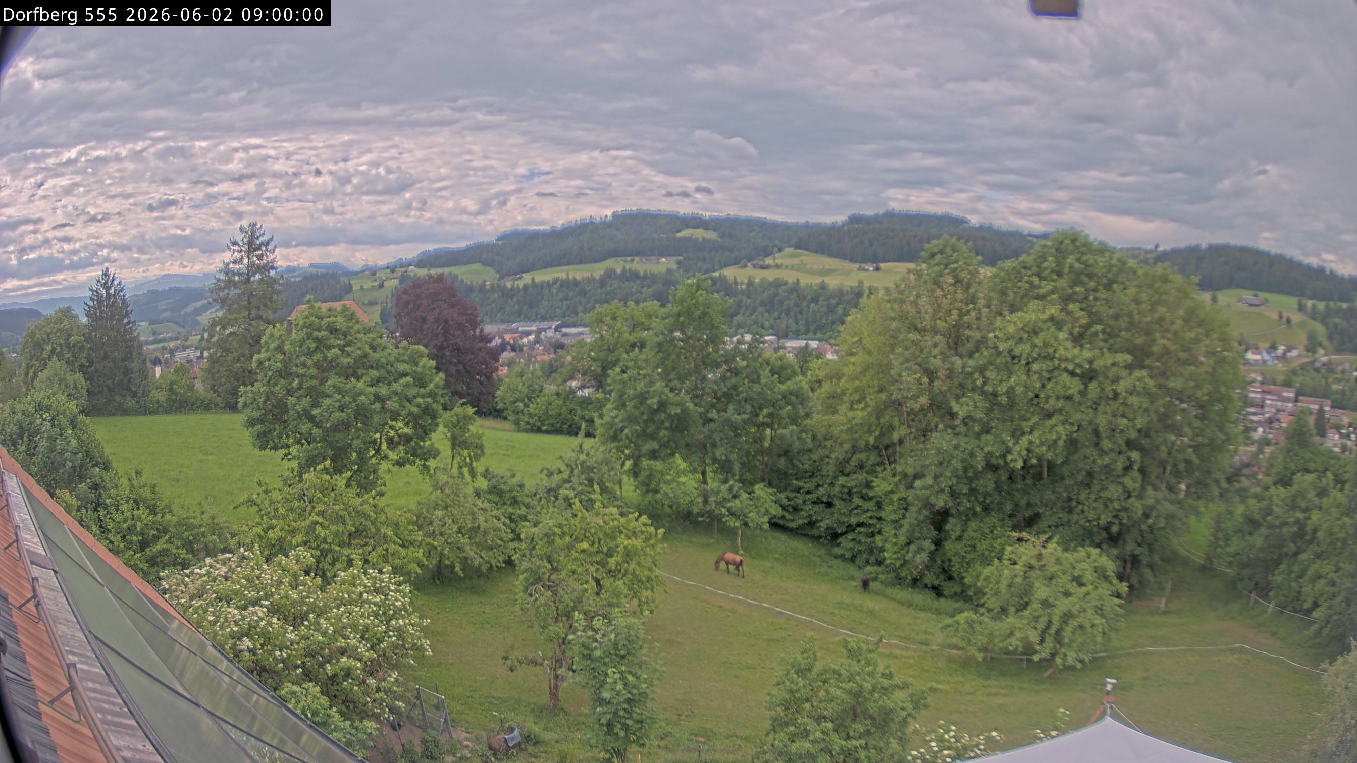 Webcam-Bild: Aussicht vom Dorfberg in Langnau 20260602-090000